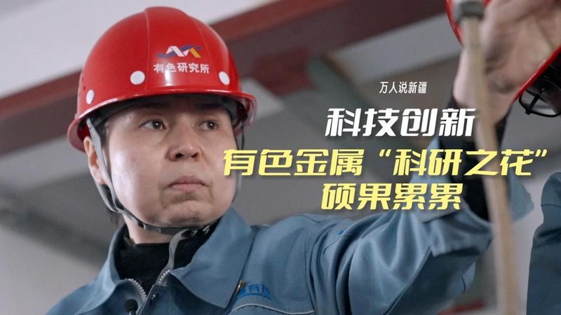 知识图谱质量评估：揭秘评估服务的核心要素